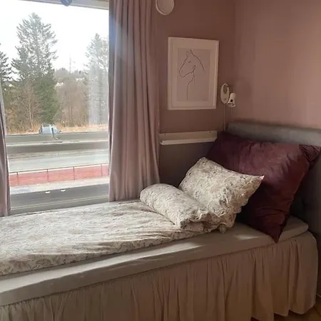 Helt Hus Leies Ut Under Skivm 25 Trondheim