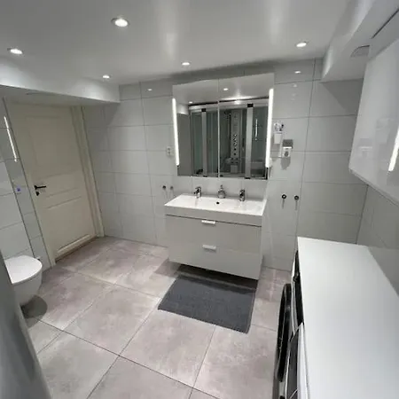 Apartment Helt Hus Leies Ut Under Skivm 25 Trondheim