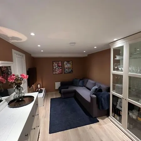 Helt Hus Leies Ut Under Skivm 25 Apartment